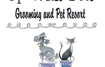 Up with Pets Grooming and Pet Resort