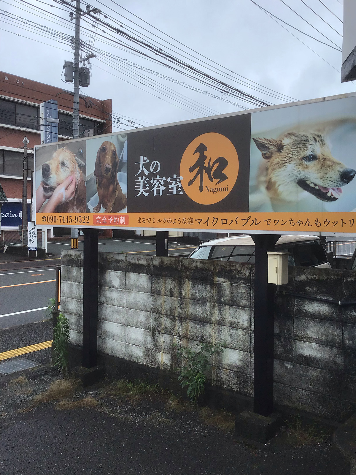 犬の美容室 和 ターレスのマイクロバブル Thales Microbubble