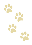 xcI4mpocdXgT0F51610867751_1610867756